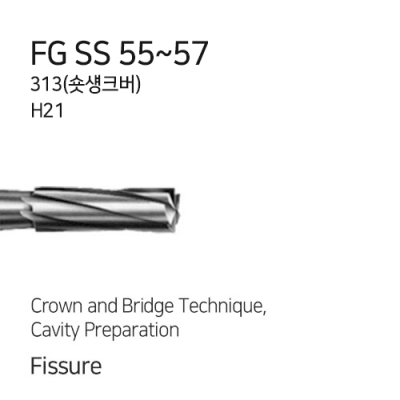 FG SS 55~57 (H21.313)